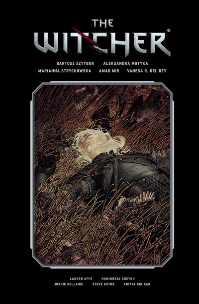 The Witcher - Library Edition Vol. 2 (TPB) (2022) – GetComics